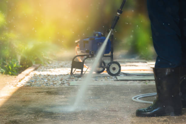 Best Gutter Cleaning  in Dunkirk, NY